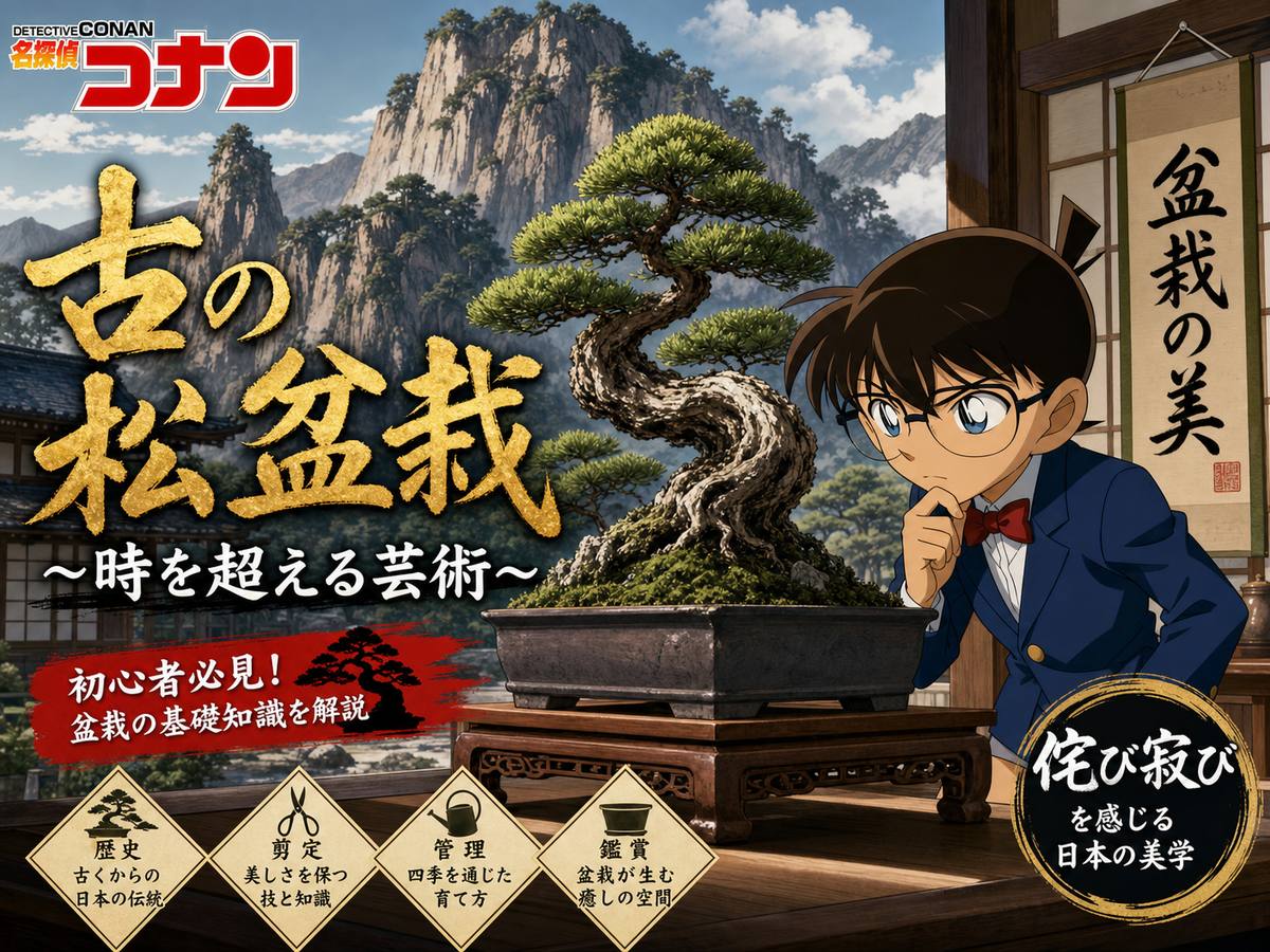 草榴盆栽视频